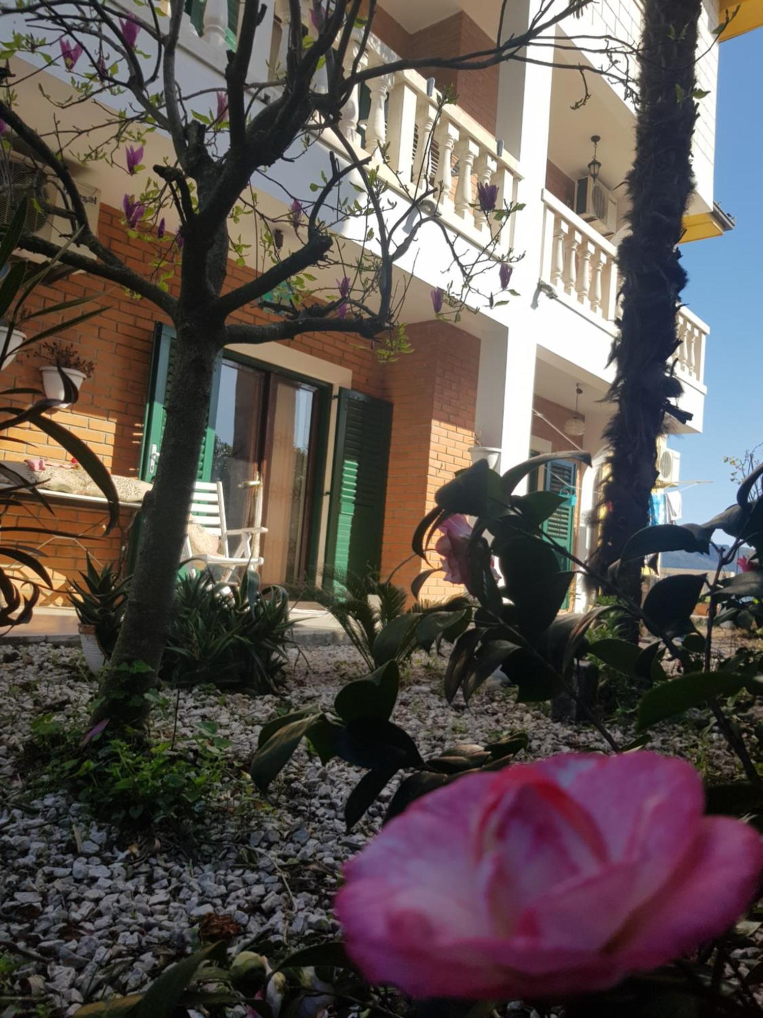 Studio Apartman Sa Pogledom Na More Meljine Bagian luar foto