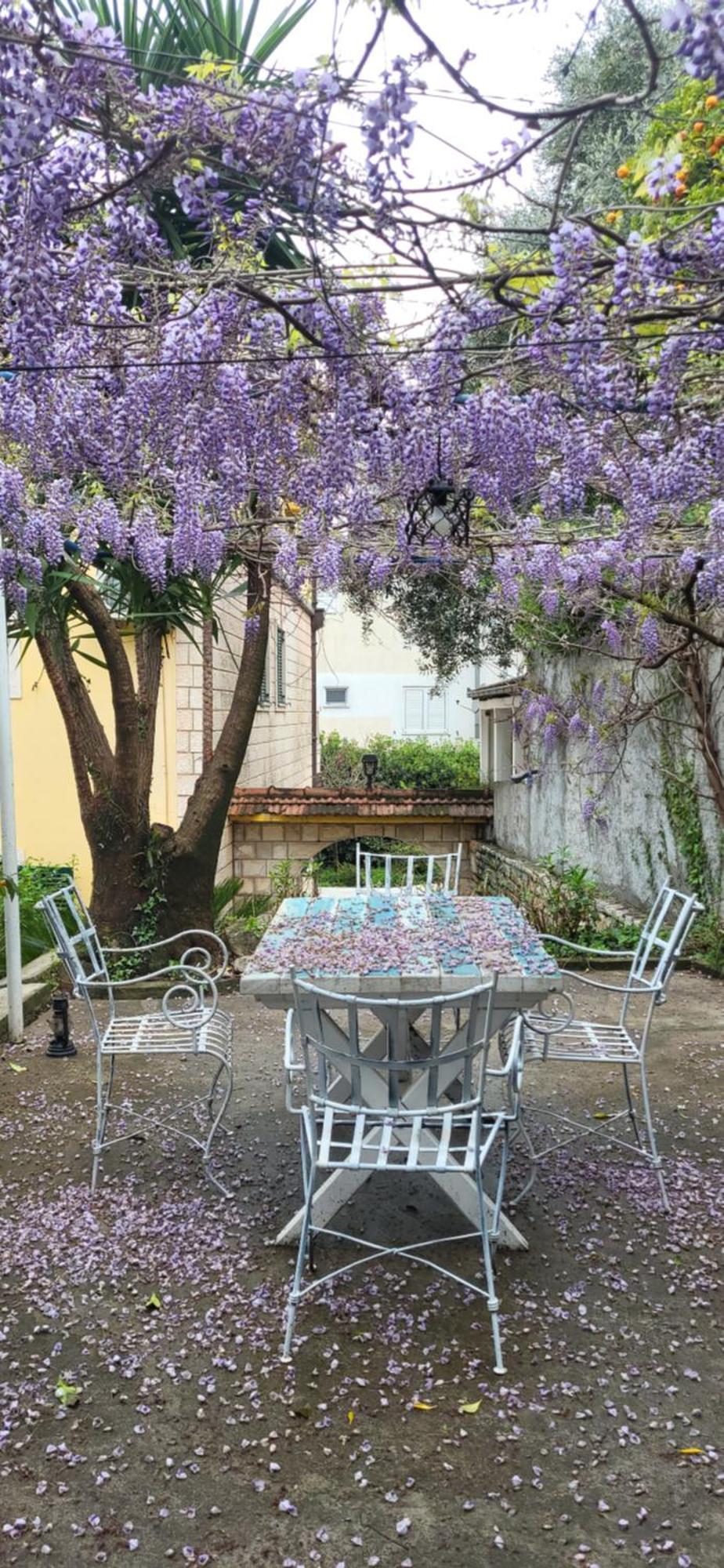Studio Apartman Sa Pogledom Na More Meljine Bagian luar foto