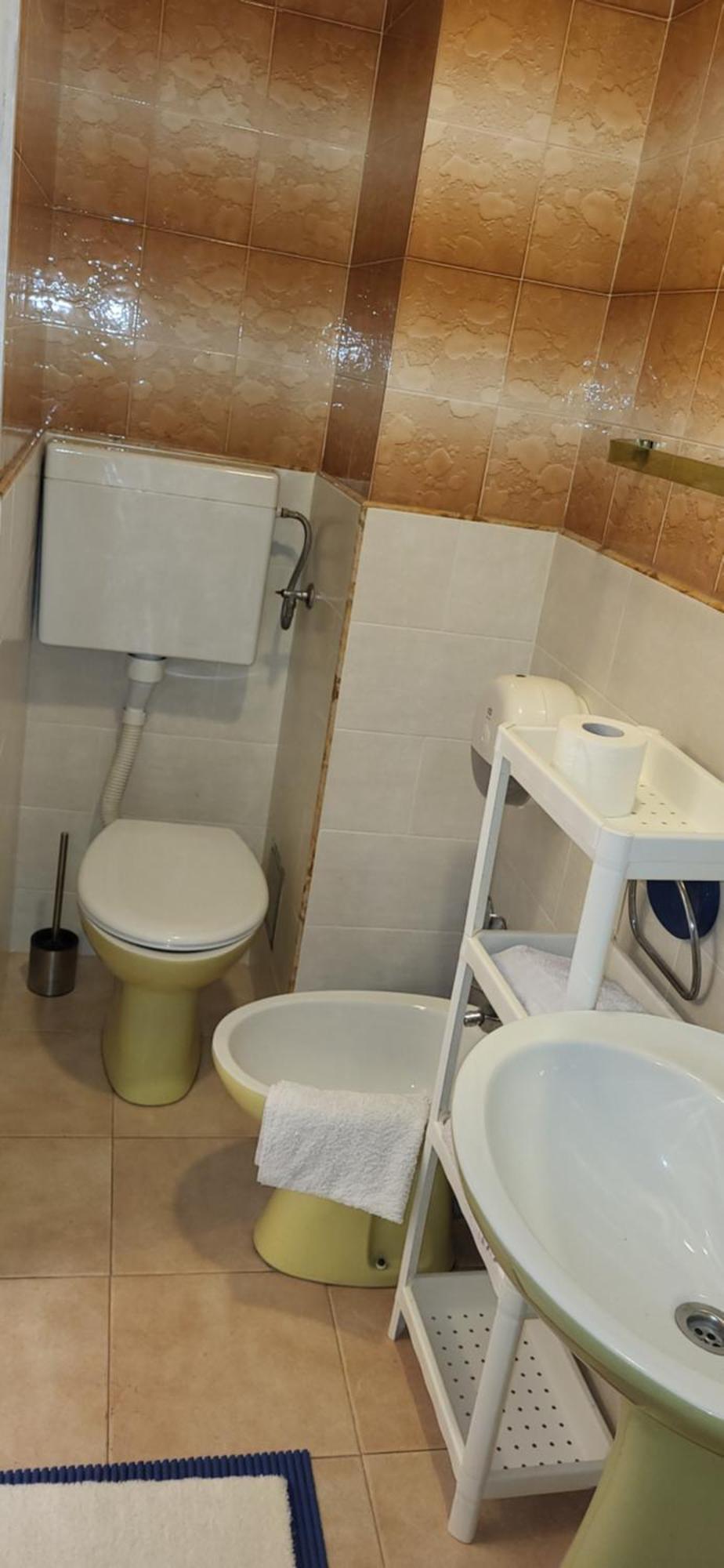 Studio Apartman Sa Pogledom Na More Meljine Bagian luar foto